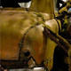 Illustration for article titled Another Massive Secret Vintage Junkyard Comes Under Fire